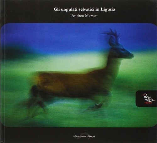 Libri andrea marsan gli - andrea,