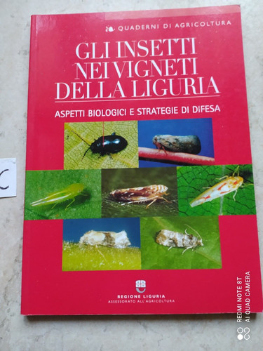 Libro gli insetti - insetti, nei