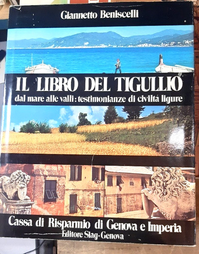 Libro del tigullio dal - del,